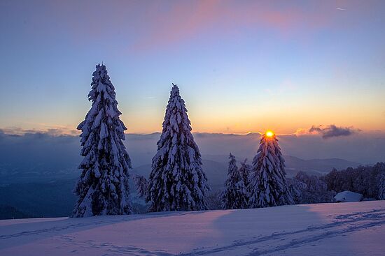 Valentinstags-Mondscheintour "Zum Arbergipfel"