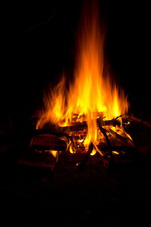 Nelhiebel Jonas - Naturpark Hirschwald