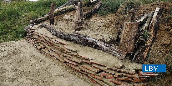 Bau eines Staudenbeetes mit heimischen Wildpflanzen