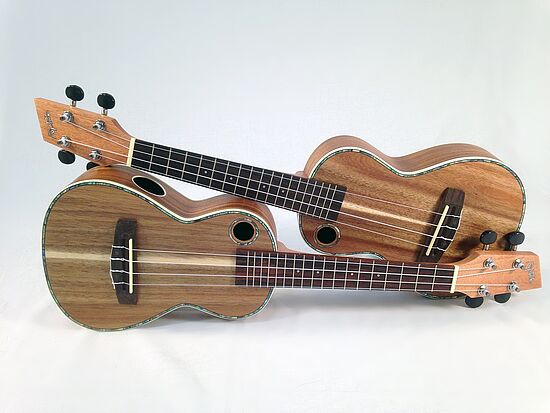 Ukulele Anfänger A