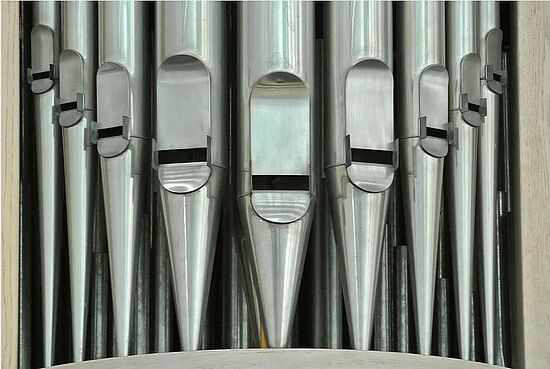 Molli, die kleine Orgelpfeife - Entdeckungstour im Regensburger Dom