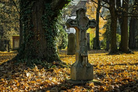 Führung im Evang. Zentralfriedhof