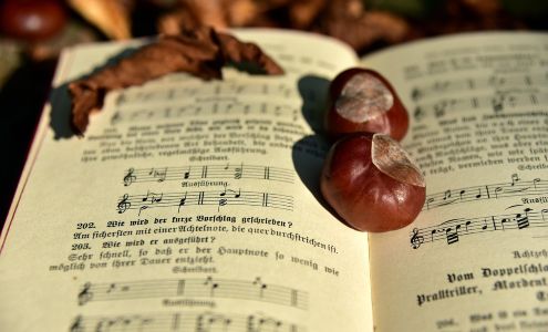 Lieder und Geschichten